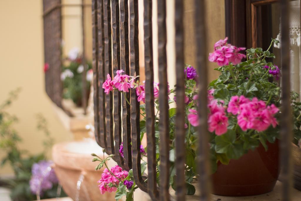 Casa Buena Vista Hotel Antigua Bagian luar foto